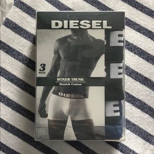 Diesel trunks